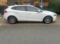 Volvo V40 V40 T3 Kinetic Kinetic Weiß - thumbnail 3