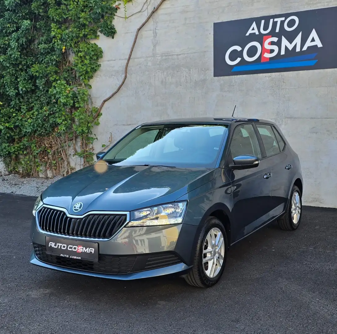 Skoda Fabia Active Grau - 1
