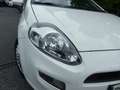 Fiat Punto 1.2 8V 69CH EASY 5P Blanc - thumbnail 7