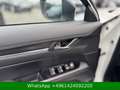 Mazda CX-5 Homura AWD BOSE|HUD|ACC|AHK|360° Weiß - thumbnail 13