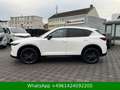 Mazda CX-5 Homura AWD BOSE|HUD|ACC|AHK|360° Weiß - thumbnail 3