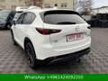 Mazda CX-5 Homura AWD BOSE|HUD|ACC|AHK|360° Weiß - thumbnail 4