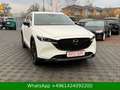 Mazda CX-5 Homura AWD BOSE|HUD|ACC|AHK|360° Weiß - thumbnail 8