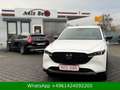 Mazda CX-5 Homura AWD BOSE|HUD|ACC|AHK|360° Weiß - thumbnail 10