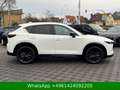 Mazda CX-5 Homura AWD BOSE|HUD|ACC|AHK|360° Weiß - thumbnail 7