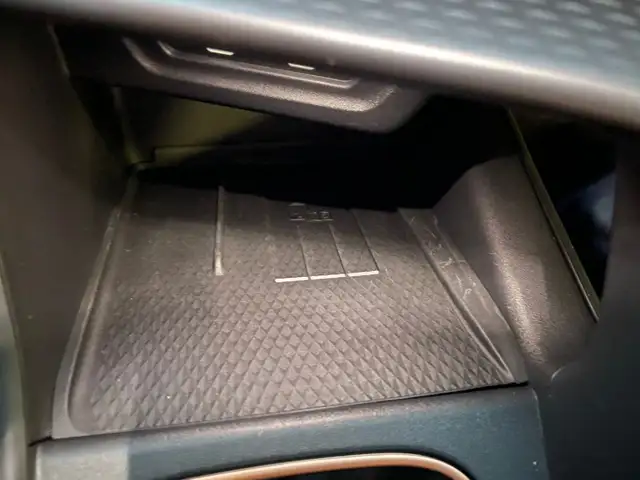 Cupra Terramar view 7