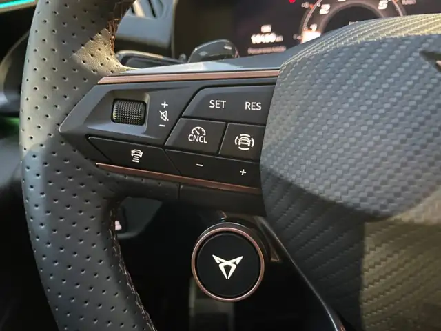 Cupra Terramar view 12