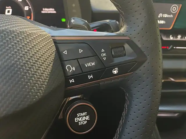 Cupra Terramar view 11