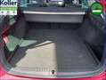 Skoda Octavia Combi 1.4 TSI iV DSG Panoramadach Leder Rot - thumbnail 7