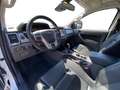 Ford Ranger Limited 3.2 TDCi Navi+Kamera Bílá - thumbnail 12