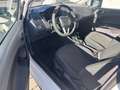 SEAT Ibiza Reference Weiß - thumbnail 7