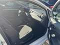 SEAT Ibiza Reference Weiß - thumbnail 9