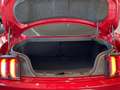 Ford Mustang 5.0 Ti-VCT V8 Fastback GT Navi Sbel B&O crvena - thumbnail 29