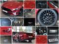 Ford Mustang 5.0 Ti-VCT V8 Fastback GT Navi Sbel B&O crvena - thumbnail 12