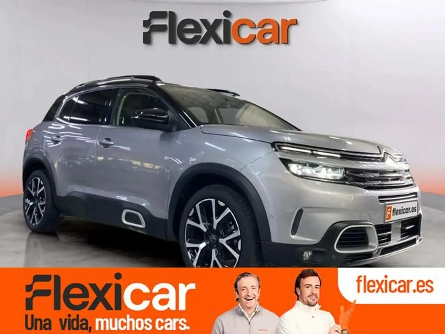 Citroen C5 Aircross BlueHdi+132kW+%28180CV%29+S%26S+EAT8+Shine Gris - 1