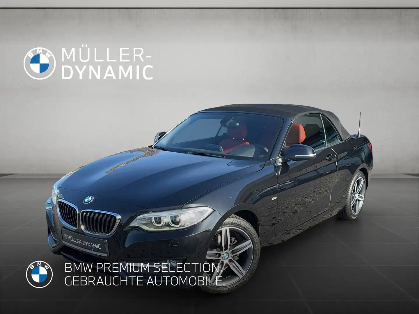 BMW 218 i CABRIO SPORT LINE XENON KLIMAAUTO PDC TEMPOMAT Noir - 1