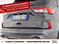 Ford Kuga 2.5 full hybrid st-line 2wd 190cv cvt Grigio - thumbnail 17