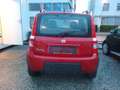Fiat Panda Panda Classic 4x4 1,2 69 Climbing Climbing Rot - thumbnail 9
