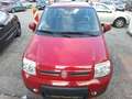 Fiat Panda Panda Classic 4x4 1,2 69 Climbing Climbing Rot - thumbnail 3