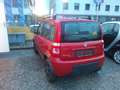 Fiat Panda Panda Classic 4x4 1,2 69 Climbing Climbing Rot - thumbnail 8
