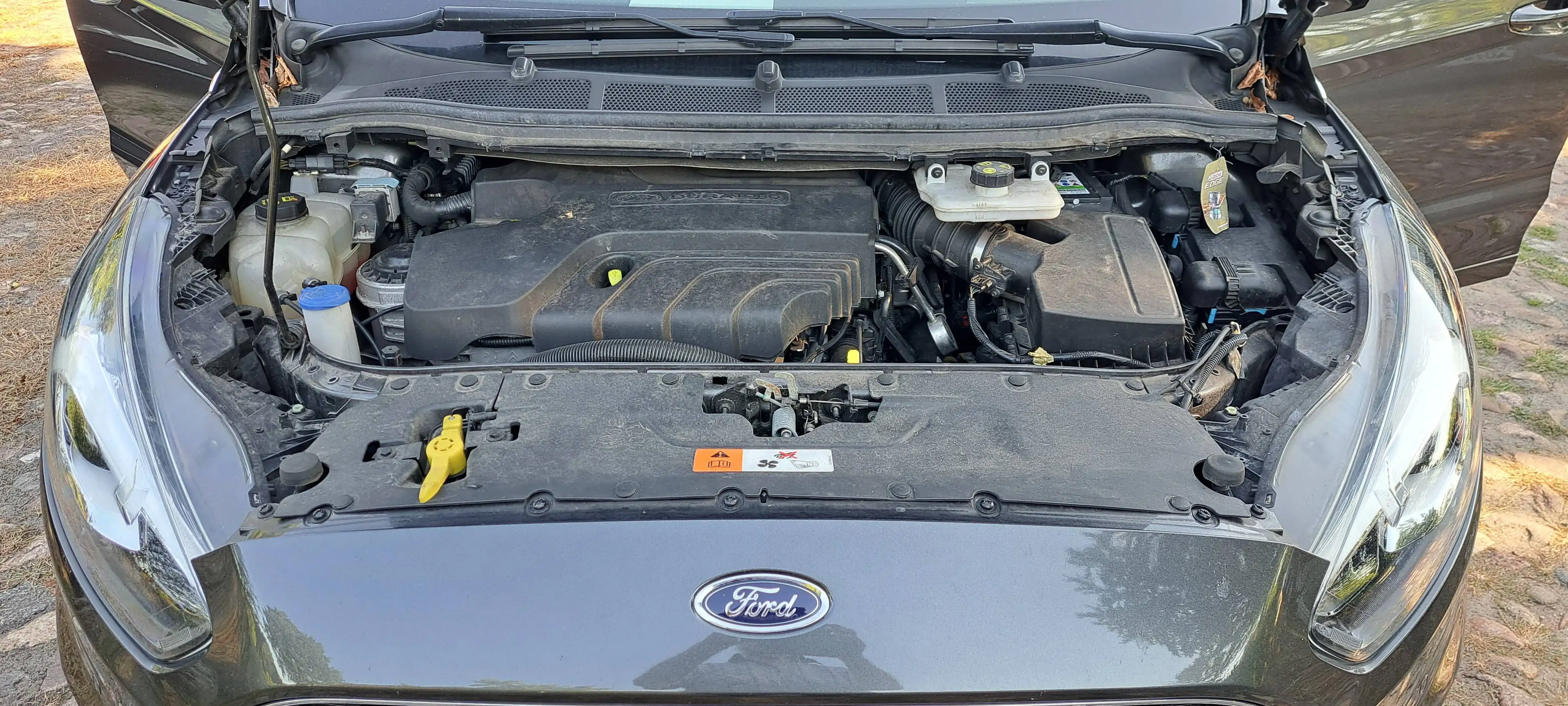 Ford S-Max Titanium, Automatic, — photo 13