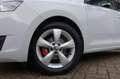 Skoda Rapid/Spaceback 1.2 TSI GREENTECH EDITION AUTOMAAT (All-in prijs) Blanc - thumbnail 3