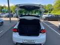 SEAT Ibiza 1.0 TSI DSG FR-LINE BLACK *LED *ACC *RKAM *NAVI * Weiß - thumbnail 15