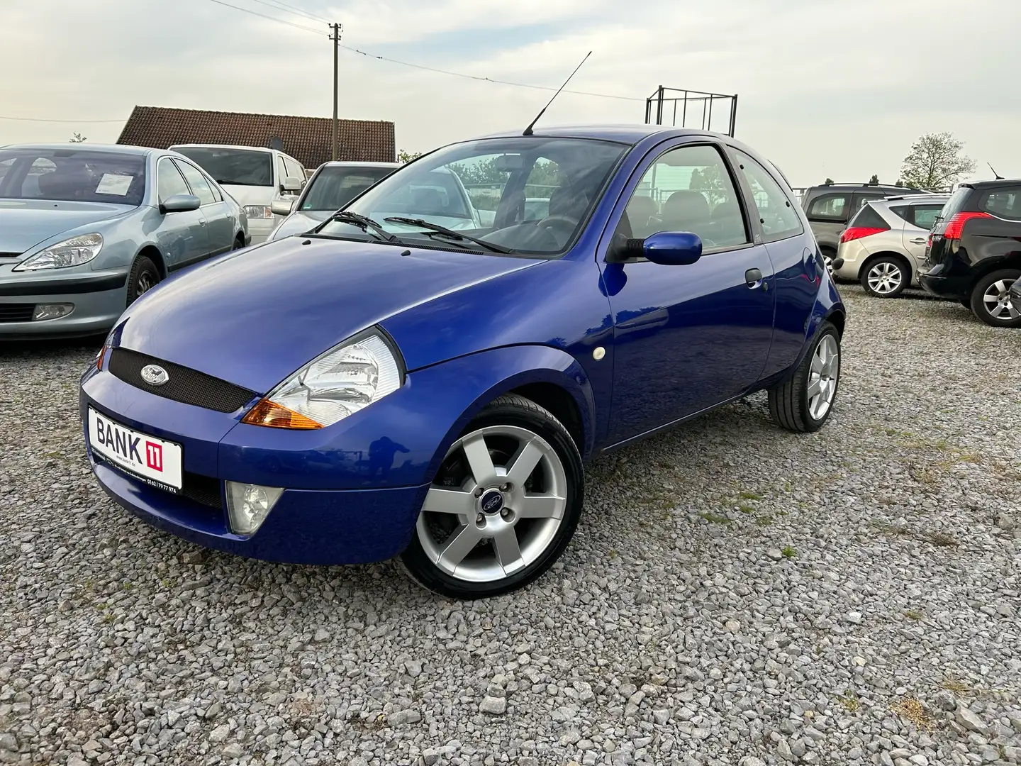 Ford Sportka Ka, Ledersitze, Klimaanlage, Sondermodell Blu/Azzurro - 2