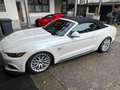 Ford Mustang GT Convertible Cabrio V8 White - thumbnail 2