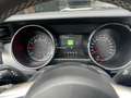 Ford Mustang GT Convertible Cabrio V8 Білий - thumbnail 7