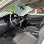 Skoda Octavia Combi 2,0 TDI Business DSG Weiß - thumbnail 13