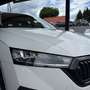 Skoda Octavia Combi 2,0 TDI Business DSG Weiß - thumbnail 7