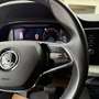 Skoda Octavia Combi 2,0 TDI Business DSG Weiß - thumbnail 18