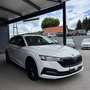 Skoda Octavia Combi 2,0 TDI Business DSG Weiß - thumbnail 6