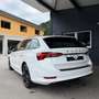 Skoda Octavia Combi 2,0 TDI Business DSG Weiß - thumbnail 3