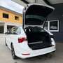 Skoda Octavia Combi 2,0 TDI Business DSG Weiß - thumbnail 10