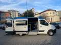 Fiat Ducato RENAULT MASTER *9 POSTI **TRASPORTO DISABILI Blanco - thumbnail 6