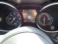 Alfa Romeo Stelvio 2020 2.2 AT8 T Rosso Edizione RWD160cv auto Noir - thumbnail 13