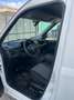 Fiat Doblo 1.6 M-JET 105CV FURGONE- 2021 Bianco - thumbnail 11