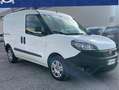 Fiat Doblo 1.6 M-JET 105CV FURGONE- 2021 Bianco - thumbnail 1