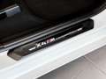 BMW X4 M Competition M Sport AHK RFK NAVI Bianco - thumbnail 24
