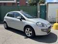 Fiat Punto Evo 5p 1.4 Dynamic 77cv - euro 5 - ok neop - thumbnail 3