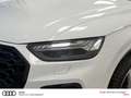 Audi Q5 40 TDI quattro S line B&O PANO LEDER MATRIX Weiß - thumbnail 6