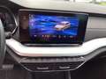 Skoda Octavia Combi Style 2.0 TDI DSG 4xSitzheiz., AHK Bleu - thumbnail 13