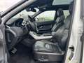 Land Rover Range Rover Evoque HSE Dynamic BLACK DESIGN Weiß - thumbnail 7