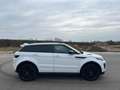 Land Rover Range Rover Evoque HSE Dynamic BLACK DESIGN Weiß - thumbnail 2
