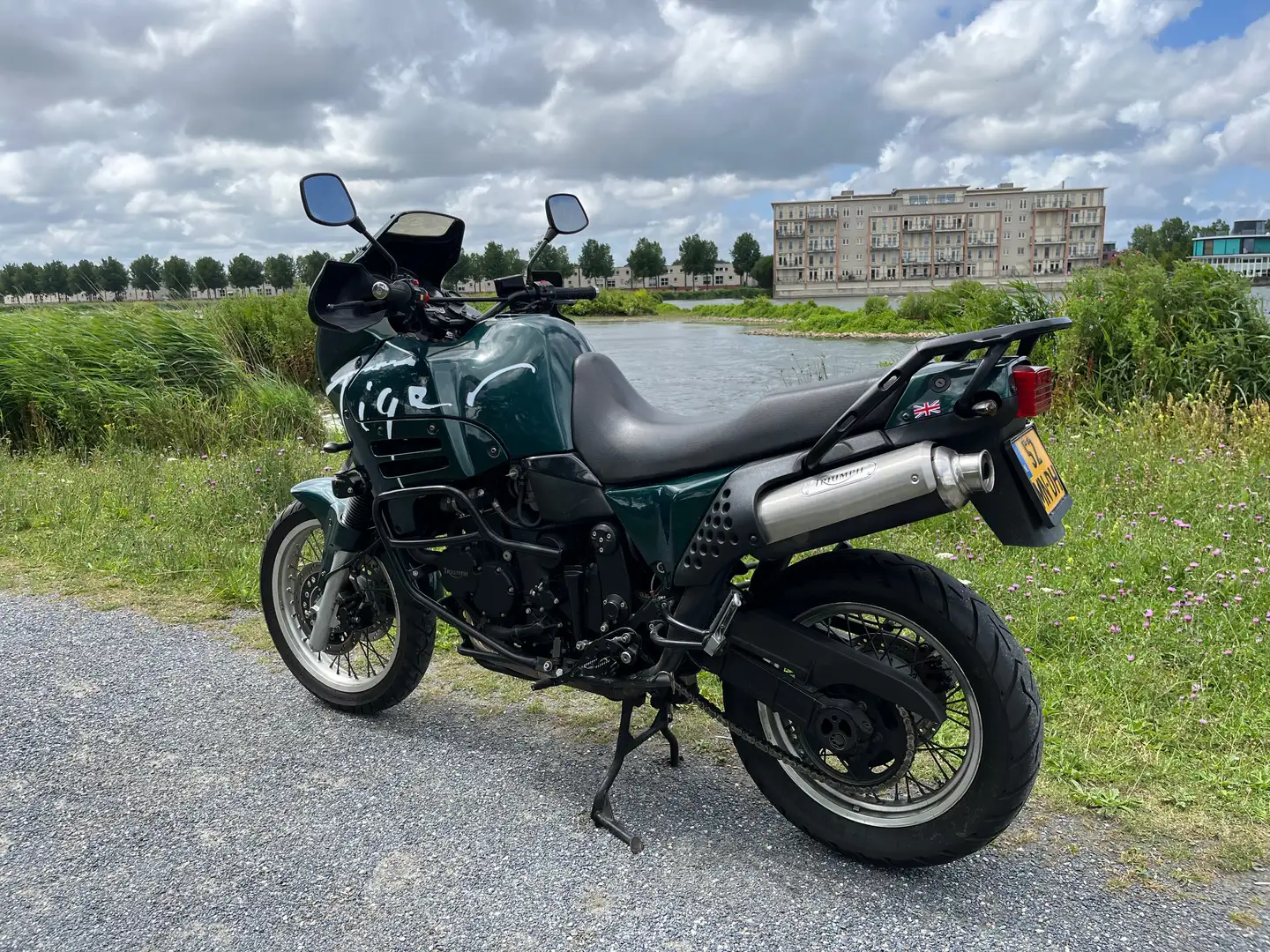 Triumph Tiger 900 885 “Steamer” Зелений - 2