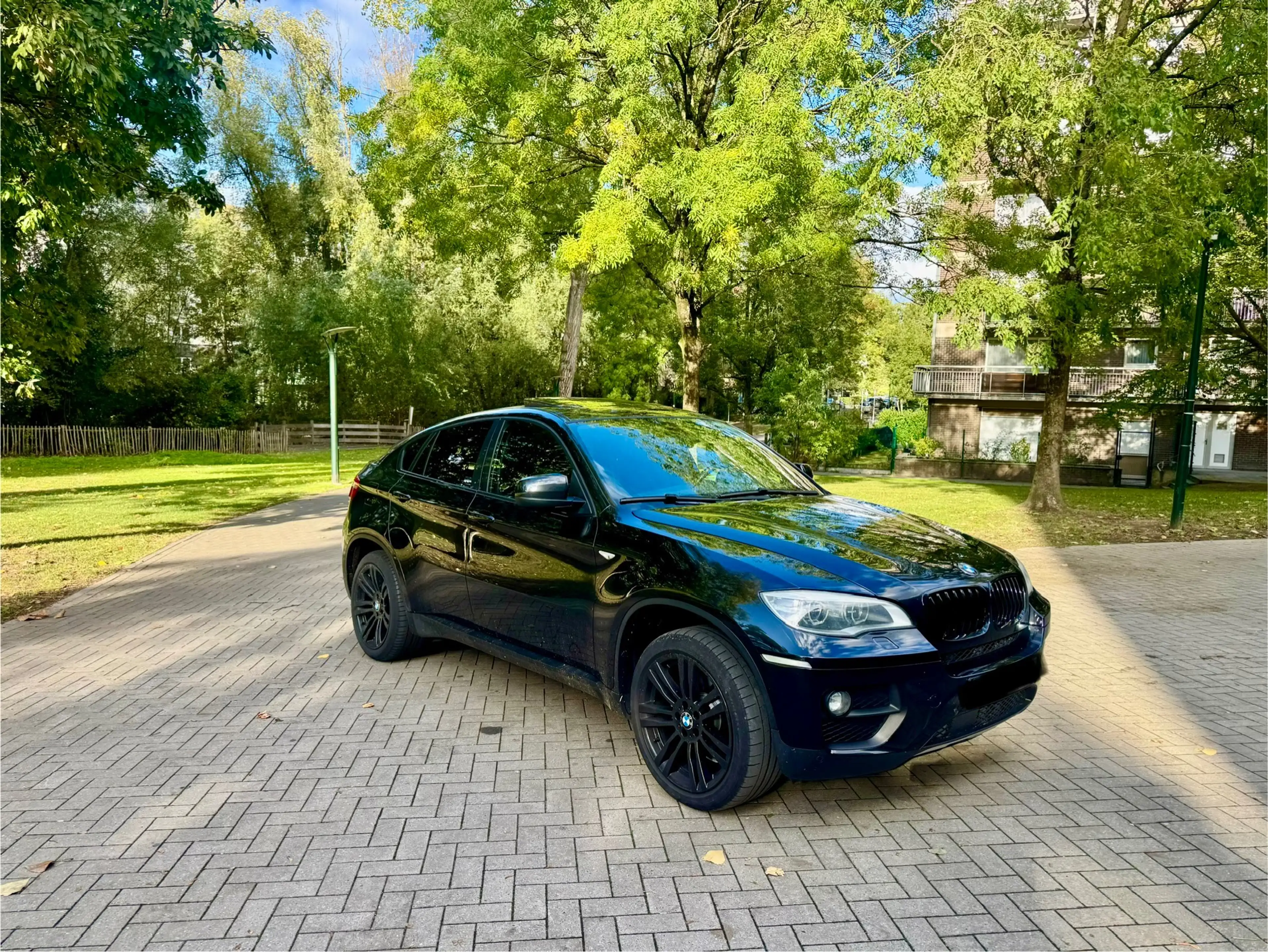 BMW X6 X6 3.0 dA xDrive30 BluePerformance — photo 3