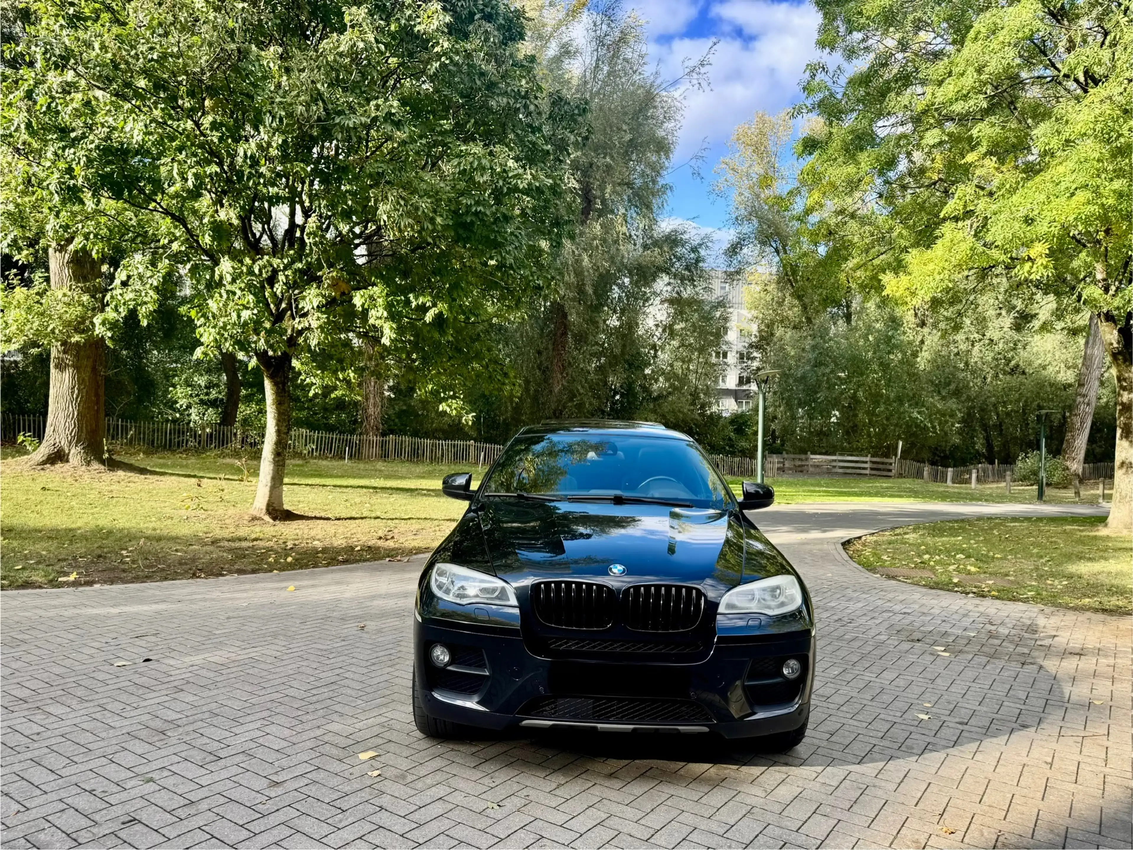 BMW X6 X6 3.0 dA xDrive30 BluePerformance — photo 2