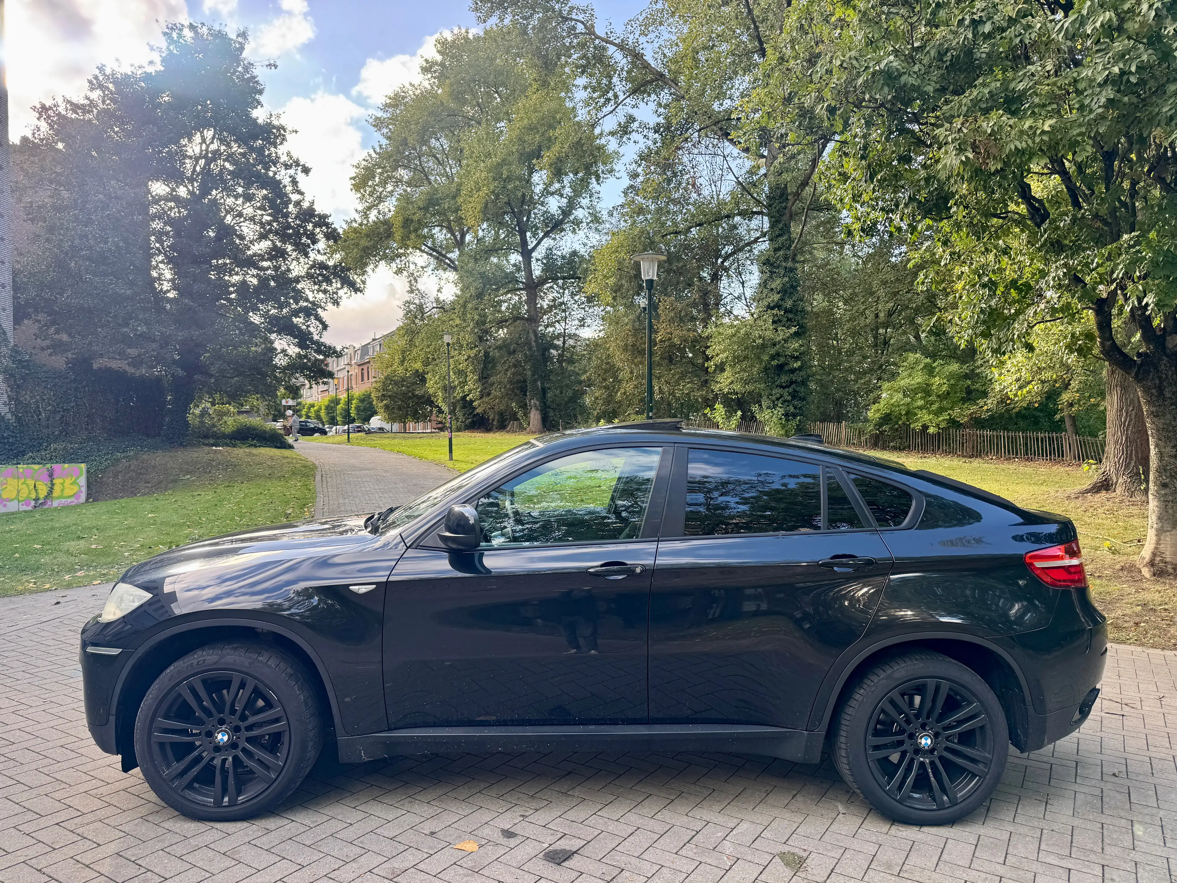 BMW X6 X6 3.0 dA xDrive30 BluePerformance — photo 8